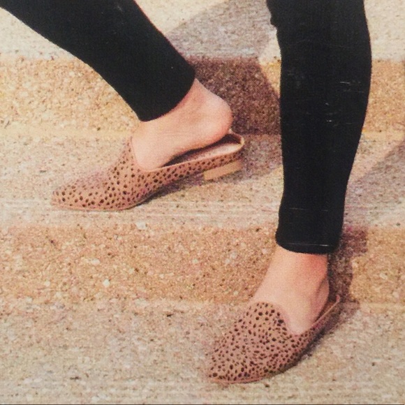 Serra Shoes - NWOT SERRA Mules shoes animal print size 9